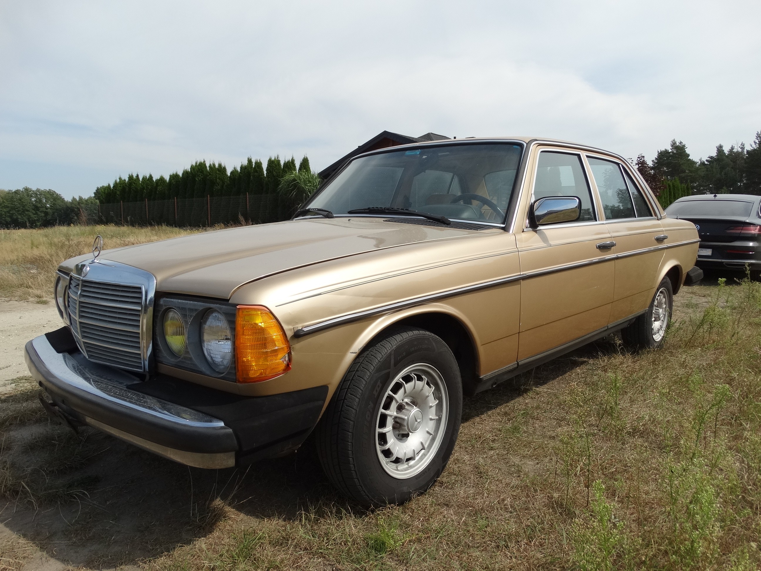 Mercedes-Benz W123 — pojazd kolekcjonerski